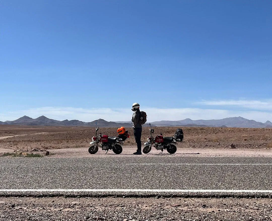 Desert ponderings. Who knows what this chap's thinking in all that endless deserty goodness. Monkey Run Morocco October 2025.