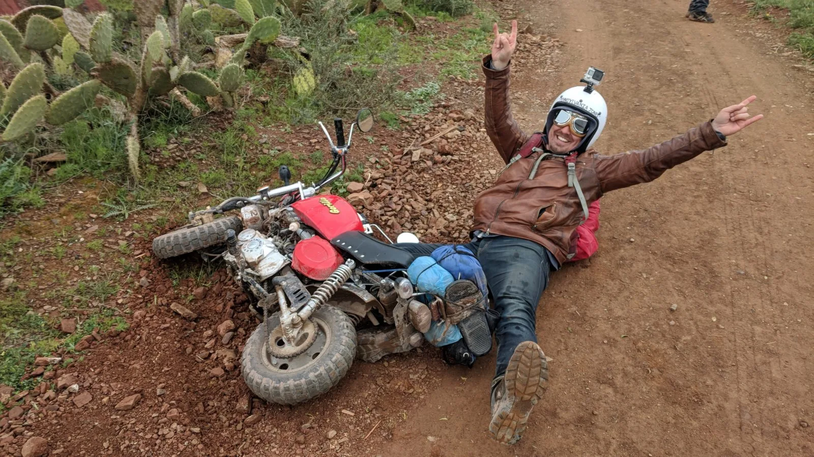 The monkey bike