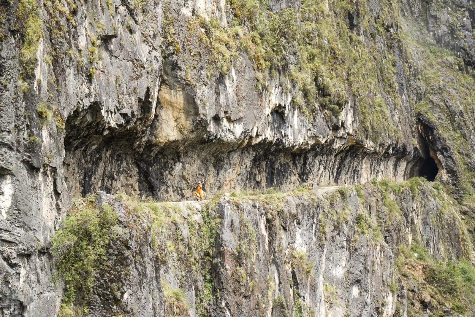 Monkey Run Peru by Igor Preciso