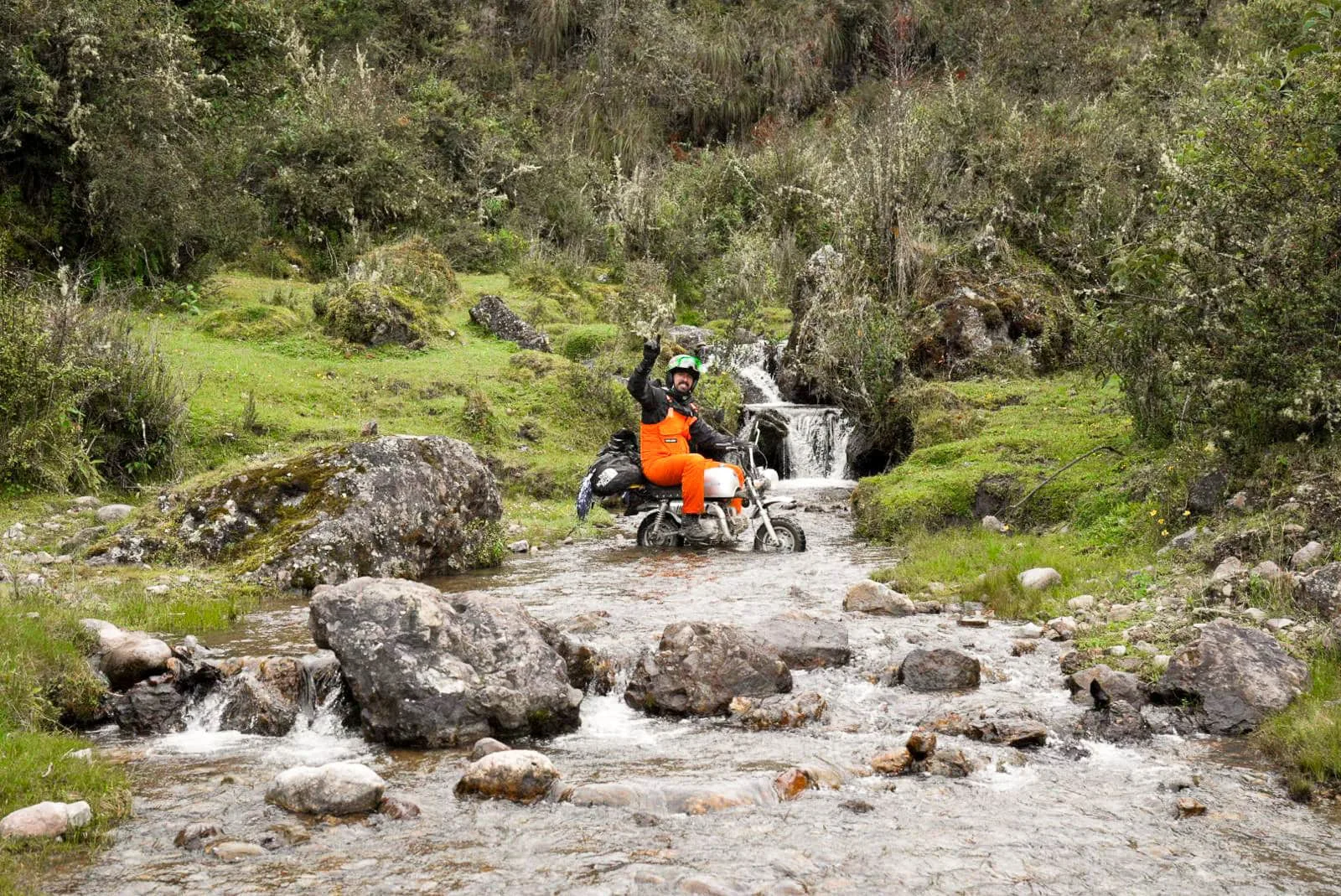 Monkey Run Peru by Igor Preciso
