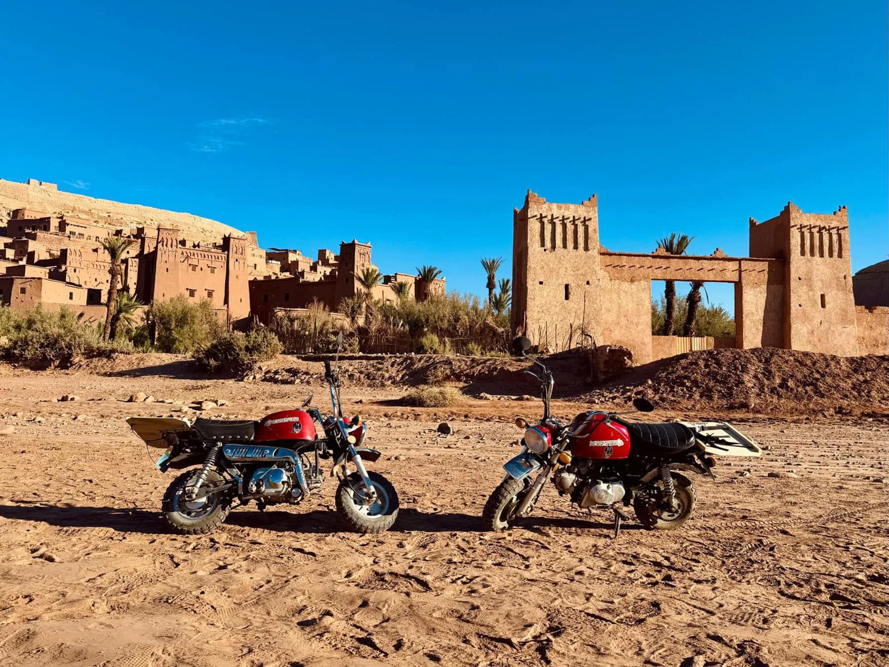 Monkey bikes posing in their natural environment. Monkey Run Morocco October 2025.