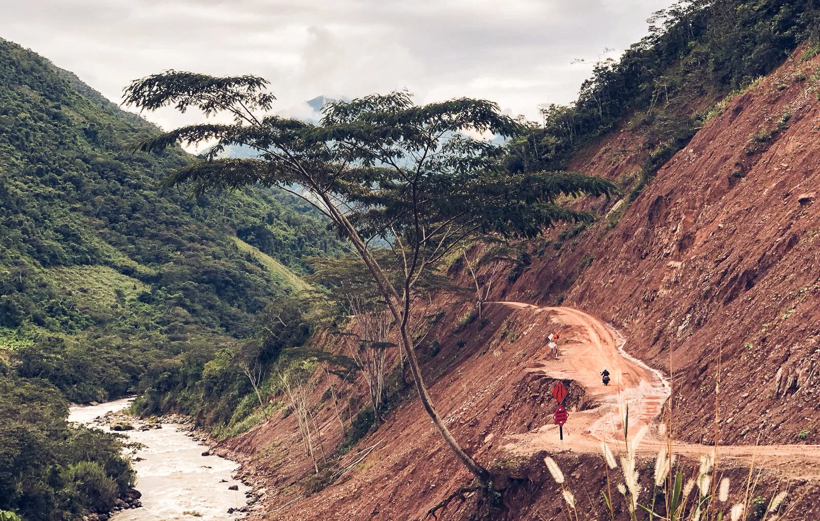 Monkey Run Peru