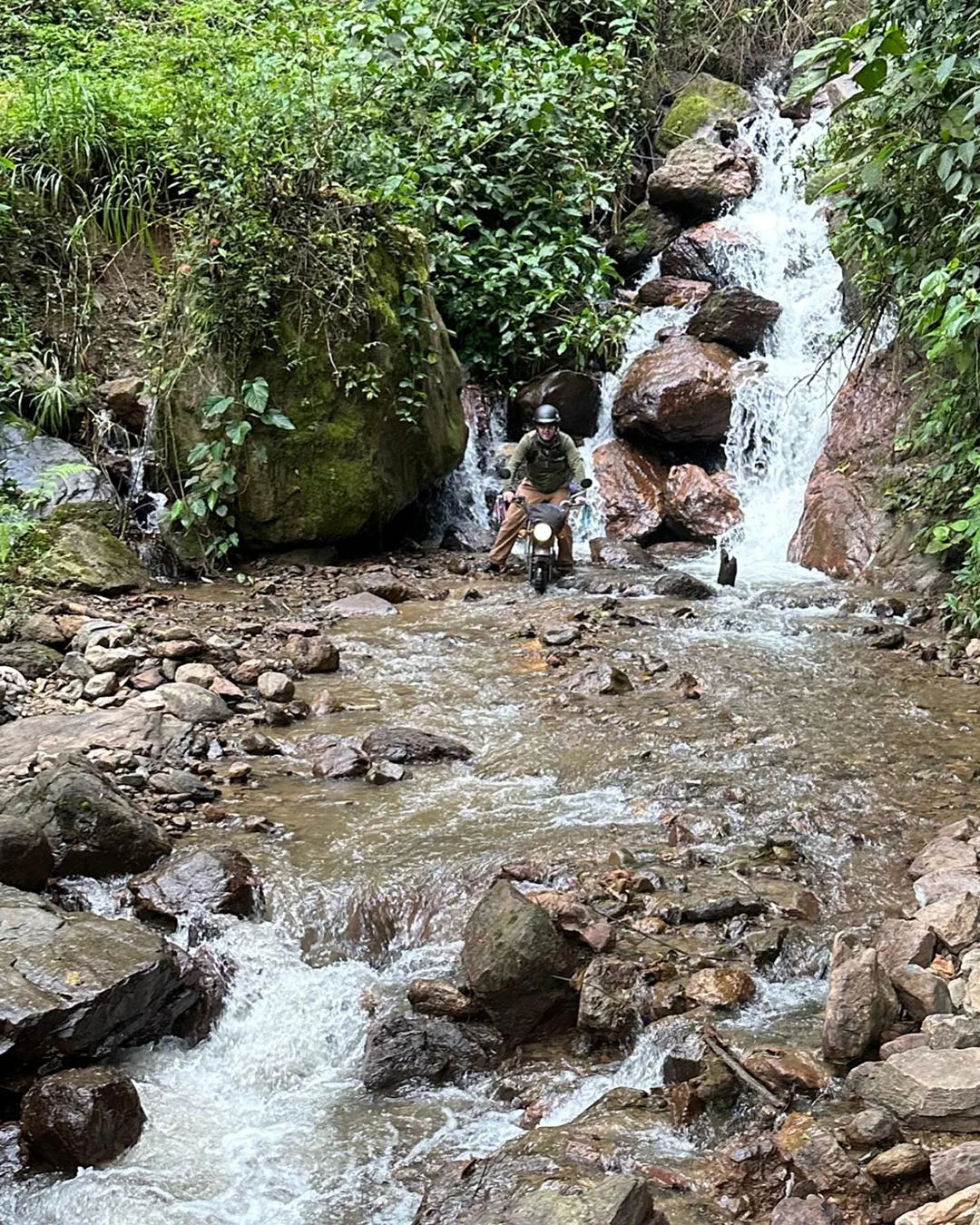 josh jungle river.jpg