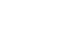 the guardian