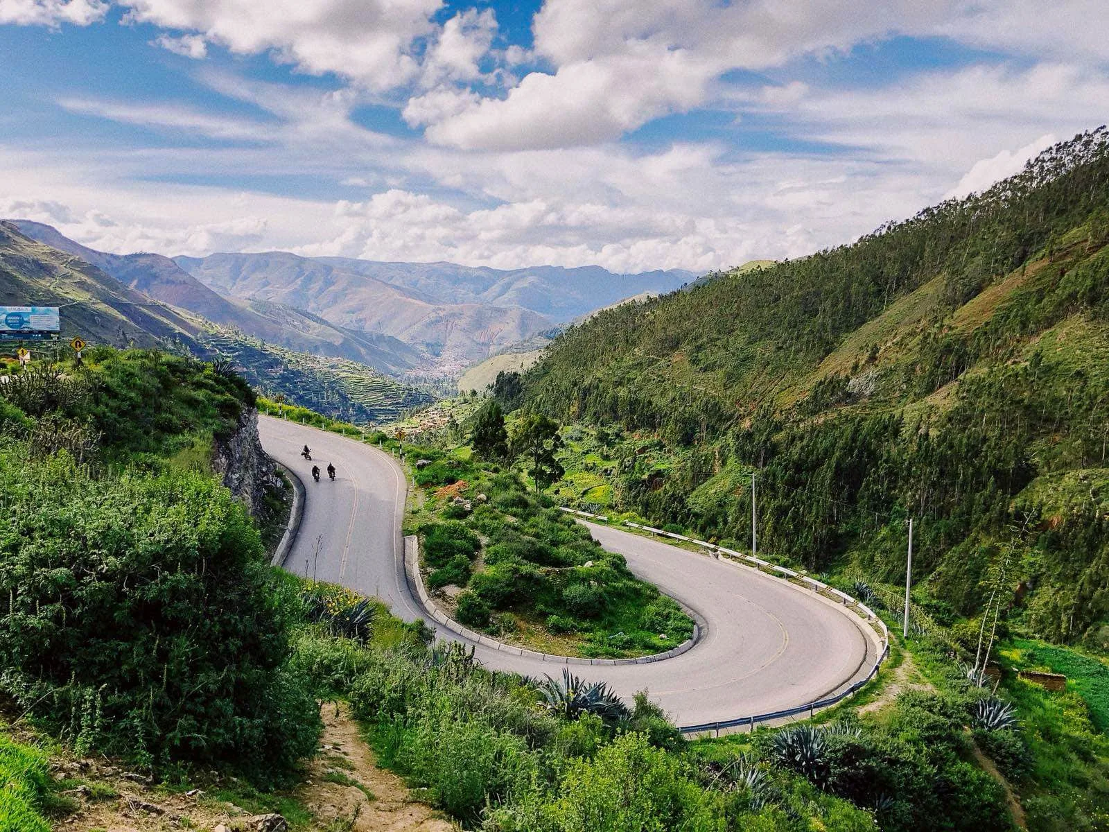 Monkey Run Peru by Matt Team Apes of Wrath