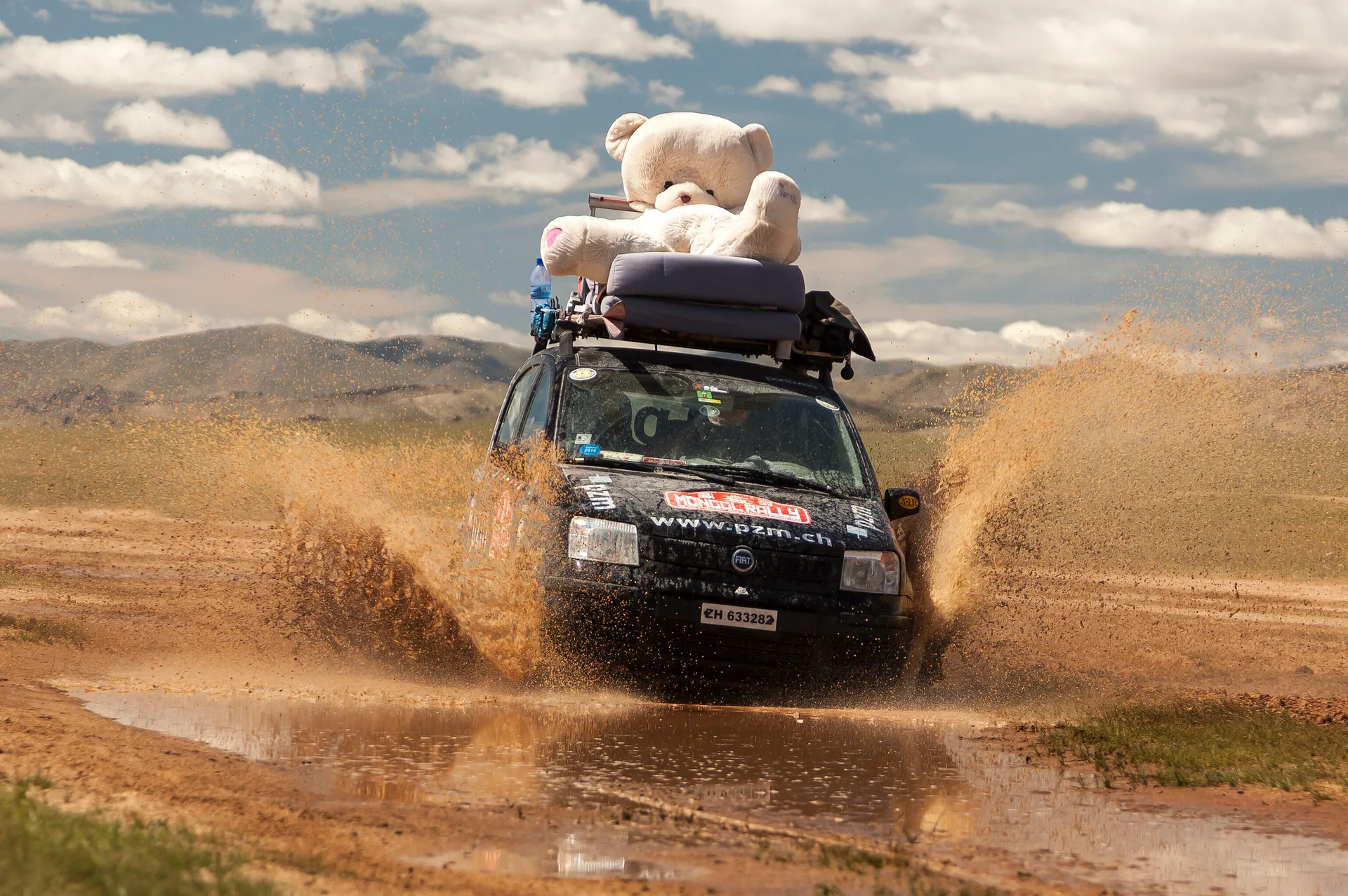 Rally vehicles